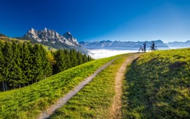 Copyright: <a href='https://de.123rf.com/profile_gevision'>gevision</a>